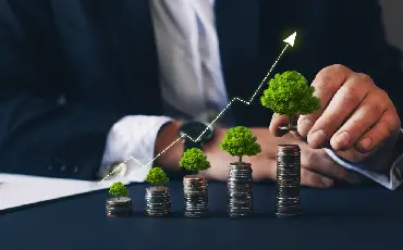 Which growth strategies you should adopt